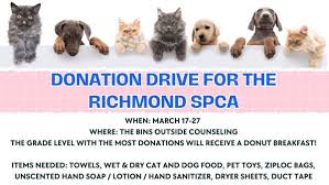 Senior Superlatives: The Best of the Best