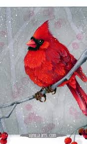 Red Birds That Look Like Cardinals Red Bird Realistic Cardinal With Copics Video Bird Painting Acrylic Watercolor Bird Birds Painting