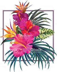 Bouquet With Hibiscus And Bird Of Paradise Flowers With Pink Petals Flower Art Tropical Flowers Illustration Tropical Flower Tattoos