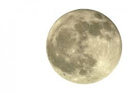 Cuadro Luna Fondo Blanco | 100% a Medida