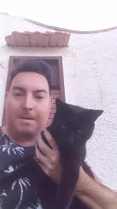 Gatto Orientale Italia