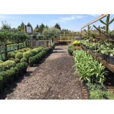 Created over 20 years ago, big plant nursery is a passionate team of horticulturalists dedicated to promoting, growing, sourcing and supplying hardy exotic, architectural and really exciting plants from the temperate regions around the world. The Big Green Plant Centre Uxbridge Wholesale Horticultural Nurseries Yell