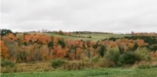 She currently resides in united states. Chelsea Cutler Archives That Eric Alper