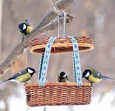 Un plan de mangeoire à oiseaux vous aidera à fabriquer et à monter facilement un endroit accueillant pour nourrir les oiseaux du jardin. Mangeoire A Oiseaux 12 Idees Recup Faciles A Realiser Mieux Vivre Autrement
