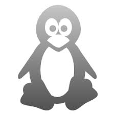 cloud computing and ubuntu both historically are being criticized by richard stallman not once but many a times why richard stallman cloud computing stallman