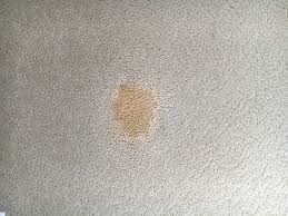 Removing coffee stains from carpet naturally. Year Old Carpet Stains Gone 7 Steps With Pictures Instructables