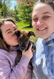 SAVMA's The Vet Gazette