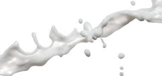 Milk Splash Png Pic Milk Splash Splash Milk