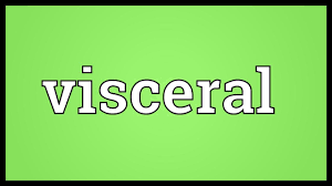 Visceral Meaning Youtube