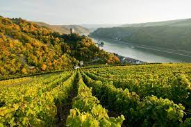 Contribute, create and discover gravesites from all over the world. Aktivurlaub In Rheinland Pfalz Reisefuhrer Outdooractive Com