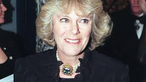 Pangeran Harry Disebut Tak Akur dengan Ibu Sambung Queen Consort Camilla