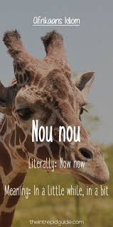 Afrikaans Expressions Nou Nou Afrikaans Afrikaans Quotes Afrikaans Language