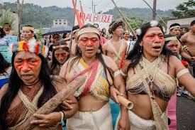 Ecuador's indigenous population numbers some 1.1 million peoples composed by 14 indigenous ecuador voted in favour of the un declaration on the rights of indigenous peoples and has ratified. Waorani People Take Ecuadorian Government To Court On April 11 Intercontinental Cry