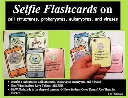 Unlike prokaryotic cells, the dna in a plant cell is housed within a nucleus that plant cells are similar to animal cells in that they are both eukaryotic cells and have similar organelles. Cell Organelles Flashcards Science Cells Biology Classroom Teaching Biology