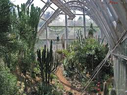 Buchen sie online und zahlen sie im hotel. Botanischer Garten Ausflugsziele In Graz Fotos