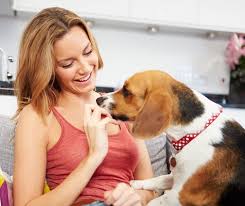 Gourmet pet bakery near me. How To Start A Dog Treat Business At Home Mint Notion