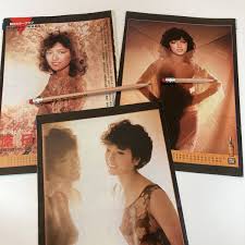 やや傷や汚れあり】昭和レトロ 原日出子 伝説のグラビア 切り抜き 女優 昭和57年 セクシー グラビア 6ページの落札情報詳細 -  Yahoo!オークション落札価格検索 オークフリー