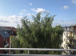 Flensburg, mathildenstraße, 3,5 zi., 89 qm, kalt 620 euro, warm 870 euro, nk 250 euro. 3 Zimmer Wohnungen Oder 3 Raum Wohnung In Flensburg Mieten