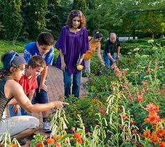 Image result for botanic garden