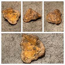 Yes, even when 50% of carbon is combined with 50% of tungsten, this doesn't influence dramatically its electrical conductivity. I Found This When I Dug In The Garden Hard Pretty Dense And My Metal Detector Doesn T React To It Could It Be Petrified Wood Southern Sweden Whatsthisrock
