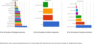 The top 10 pulmonary hypertension (ph) stories of 2018 dealt primarily with new strategies to diagnose and treat the disease. Assessment Of Differentially Methylated Loci In Individuals With End Stage Kidney Disease Attributed To Diabetic Kidney Disease Biorxiv
