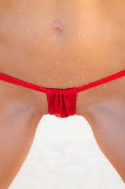 Thong Bathing Suit Bottoms Thong Swimsuit Bottoms Thong Suit