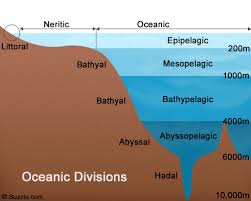 aquatic aquatic life zones