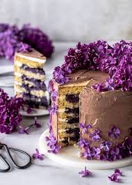Blaubeer Haselnuss Torte Mit Schoko Swiss Meringue Emma S Lieblingsstucke Rezept Kuchen Ideen Blaubeer Torte Schokoladen Torte