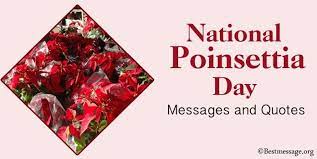 Happy National Poinsettia Day Messages And Quotes Messages Wishes Messages Quotes