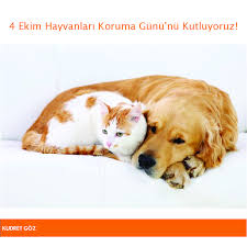 4 Ekim Hayvanlari Koruma Gunu Nu Kutluyoruz Goruntuler Ile Hayvan