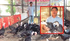 Awalnya ternak ayam kampung banyak dilakukan secara subsisten alias sebagai sampingan saja. Ternak 5000 Ekor Harga Daging Rm28 Sekilo Shaik Mohamad Azmi Mampu Jana Pendapatan Lumayan Ternak Ayam Piru Kartel Dakwah