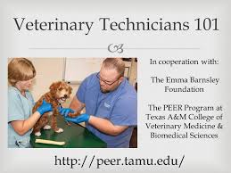 Veterinary services, veterinary practice, the pet vet are excited to announce the doors the new state of the art surgery are now open. Veterinary Technicians 101 In Cooperation With The Emma Barnsley Foundation The Peer Program At Texas A M College Of Veterinary Medicine Biomedical Ppt Download