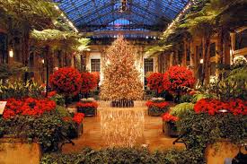 Longwood Gardens Makes The Holidays Shine With Light Displays Music Performances And Horticultural Highlights Through January 9 Longwood Gardens Christmas Longwood Gardens Christmas Garden