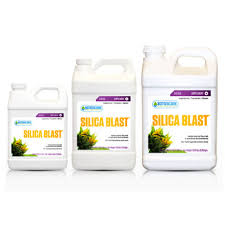 Botanicare Silica Blast