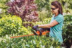 Black And Decker 20 Inch Hedge Trimmer Black Decker Lht321ff 20v Powercut Hedge Trimmer Hedge Trimmers Trimmers Hedges