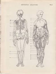 The overall paper size is 25.40 x 31.60 inches and the image size is 25.40 x 31.60 inches. Pin By Alexandra Rash On Typography Human Anatomy Chart Fine Art Drawing Medical Art
