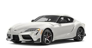 Image result for Coptosperma supra-axillare