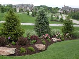 Landscape Plantings Green Guys Outdoor Landscaping Evergreen Landscape Backyard Landscaping