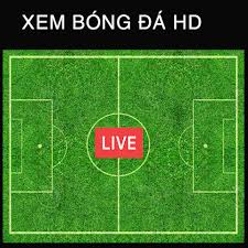 Tuy nhiên, đến với trang truc tiep da bong tv các bạn hoàn toàn có thể xóa bỏ nỗi lo này. Xem Bong Ä'a Trá»±c Tiáº¿p Truc Tiep Bong Da 12 Táº£i Vá» Apk Android Aptoide