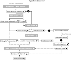 Water As An Essential Nutrient The Physiological Basis Of Hydration European Journal Of Clinical Nutrition