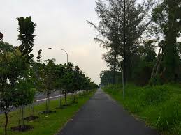 We did not find results for: Jogging Cycling Along Changi Coast Road And Tanah Merah Coast Road Page 6 Sqtalk