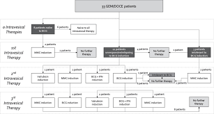 Oncological Outcomes Of Sequential Intravesical Gemcitabine And Docetaxel In Patients With Non Muscle Invasive Bladder Cancer Abstract Europe Pmc