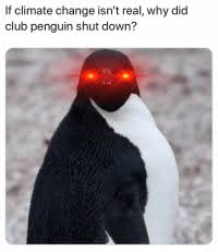 *club penguin rewritten will send your parent an email with an activation code. If Climate Change Isn T Real Why Did Club Penguin Shut Down Penguins Aren T Real Club Meme On Me Me