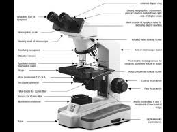 Terms in this set (16). Microscope Study Part 2 Youtube