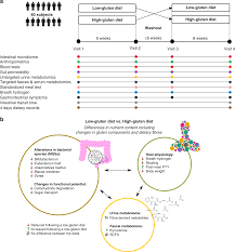 A Low Gluten Diet Induces Changes In The Intestinal