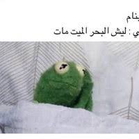 سكن طالبات جامعة ام القرى مكة.اشتكى عدد من أولياء أمور طالبات بجامعة أم القرى من صدور قرار بإخلاء سكن الطالبات وإنهاء عقد التأجير المبرم مع الجامعة بسبب عدم وجود ميزانية. Ø³ÙƒÙ† Ø·Ù„Ø§Ø¨ Ø¬Ø§Ù…Ø¹Ø© Ø§Ù„Ù…Ù„Ùƒ Ø¹Ø¨Ø¯ Ø§Ù„Ø¹Ø²ÙŠØ² Ø§Ù„Ù†Ø®ÙŠÙ„ Ø¬Ø¯Ø© Ø§Ù„Ù…Ù…Ù„Ùƒ Ø§Ù„Ø¹Ø±Ø¨ÙŠØ© Ø§Ù„Ø³Ø¹ÙˆØ¯ÙŠØ©