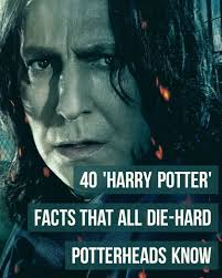 Amanda Hibbard (amandahibbard37)