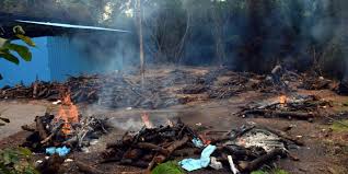 How many days to cremate a body. Endless Pyres Earthen Pots With Ashes Tell A Different Story Of Covid 19 Fatalities In Hyderabad The New Indian Express
