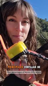 Lleva Algún Termostato De Aceite En El Enfriador De Aceite Del Motor  Detroit Serie 60