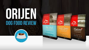 In this article you will find Orijen Dog Food Reviews 2021 Complete Guide Woof Whiskers
